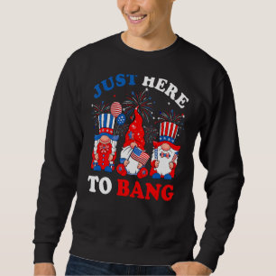 Am 4. Juli feiern amerikanische Gnome hier Sweatshirt