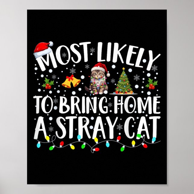 Am ehesten bringt man ein streunendes Katze mit Ch Poster (Vorne)