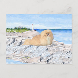 Am Leuchtturm Postkarte