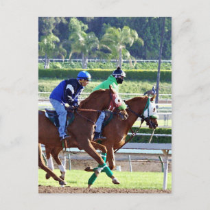 Am Races Postcard Postkarte