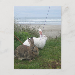 Am Strand Postkarte