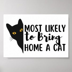 Am wahrscheinlichsten bringt man Zuhause eine Katz Poster