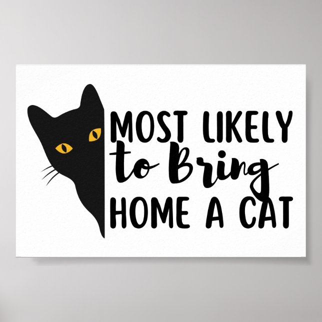 Am wahrscheinlichsten bringt man Zuhause eine Katz Poster (Vorne)