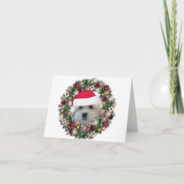 Am Weihnachten - Havanese (Vorderseite)