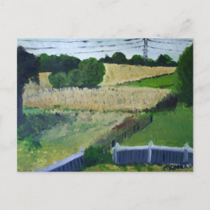 Amagansett-Feld Postkarte
