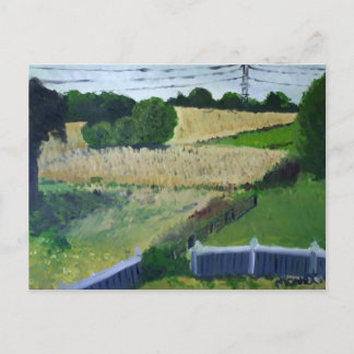 Amagansett-Feld Postkarte