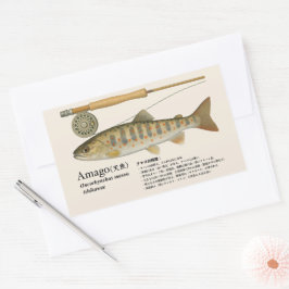 Amago (Oncorhynchus masou ishikawae) – Japanisch Rechteckiger Aufkleber