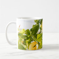 Amalfi Lemon Dream #2 #travel #wall #art