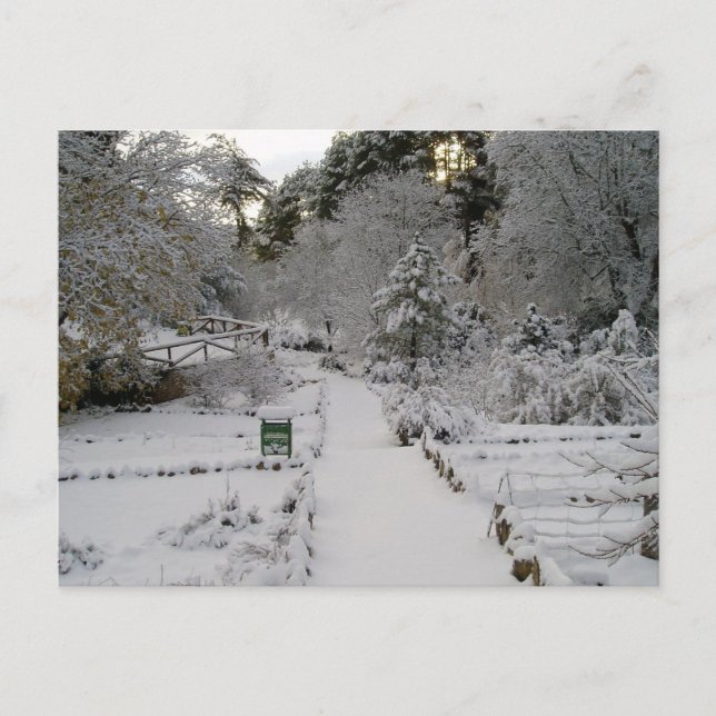 Amanecer Nevado Postkarte (Vorderseite)