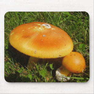 Amanita Caesarea Mushroom Mousepad