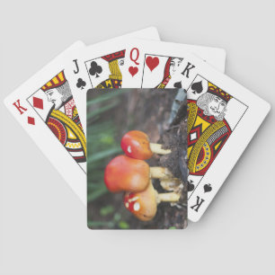 Amanita-Familienpilz Spielkarten