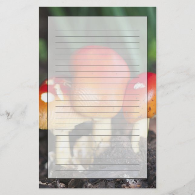 Amanita Familienzimmer Briefpapier (Vorderseite)