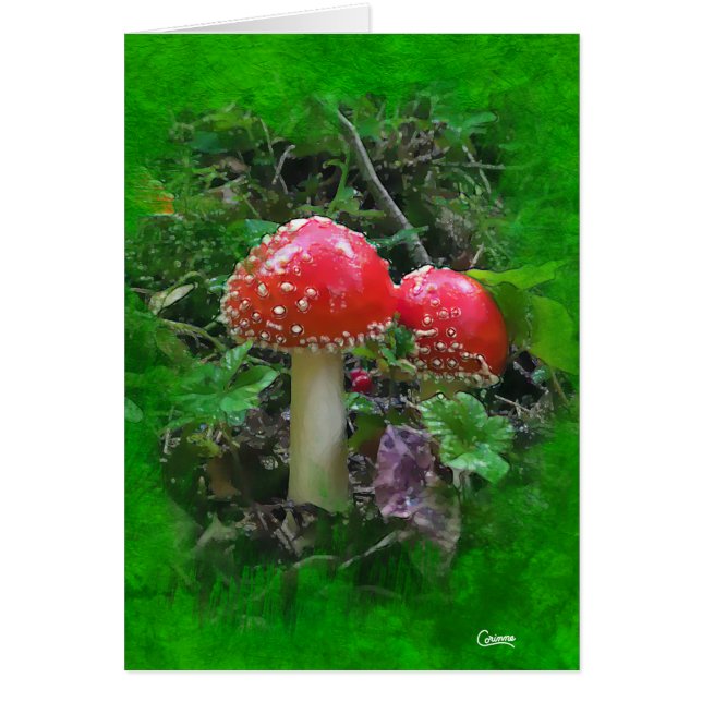 Amanita Muscaria - 5" x 7" Art Card (Vorne)