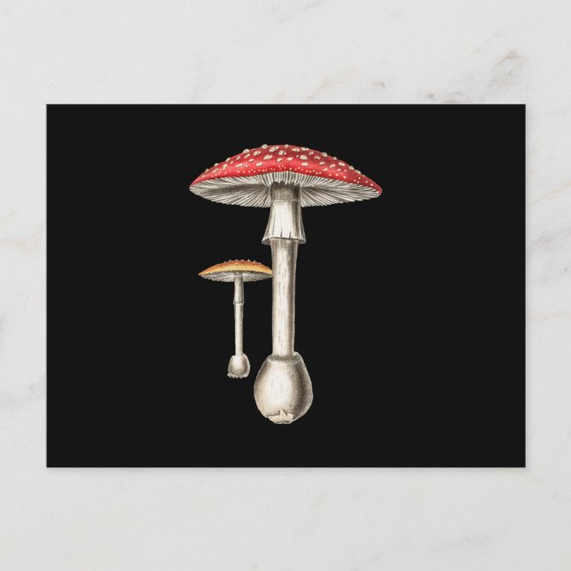 Amanita Muscaria Pilz Botanische Natur Fungi Einladungspostkarte (Vorderseite)