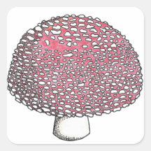 Amanita Mushroom Fungus Shroom