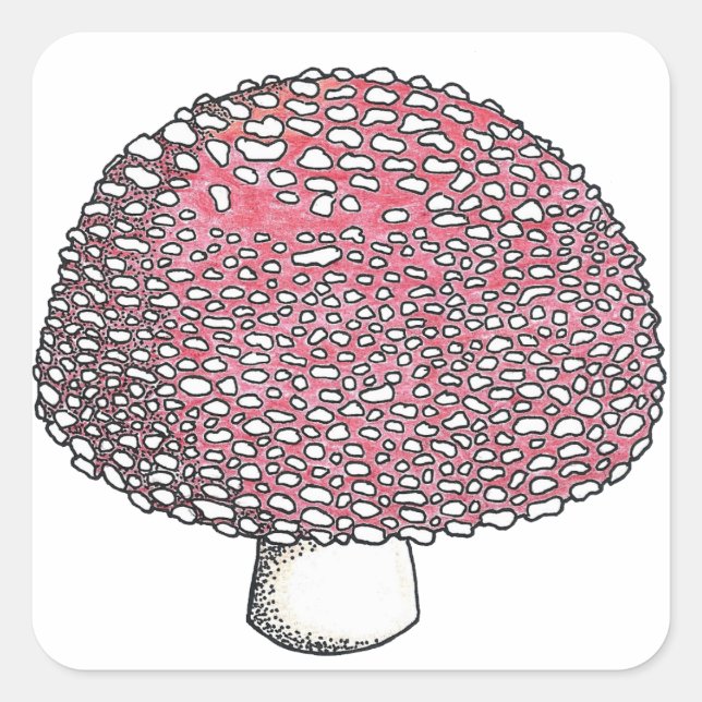 Amanita Mushroom Fungus Shroom Quadratischer Aufkleber (Vorderseite)