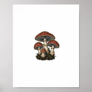 Amanita-Pilz-Stich Poster