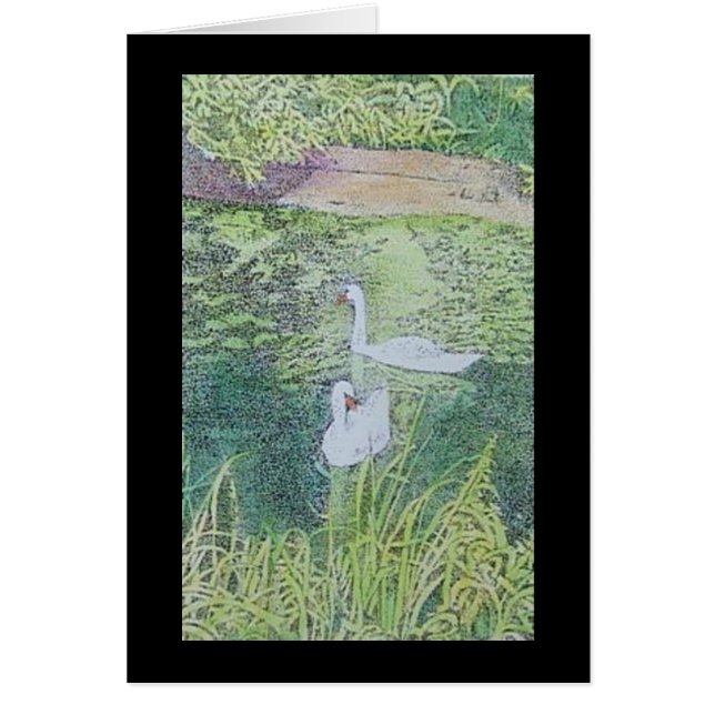 amants de cygne (Devant)