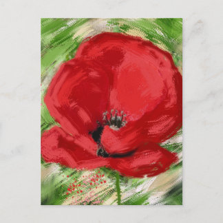 Amapola Postkarte