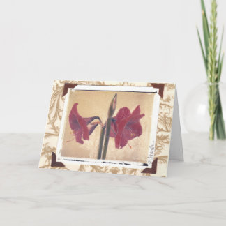 amaryllis_2 feiertagskarte