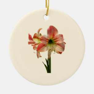 Amaryllis Apfelblüte Keramikornament