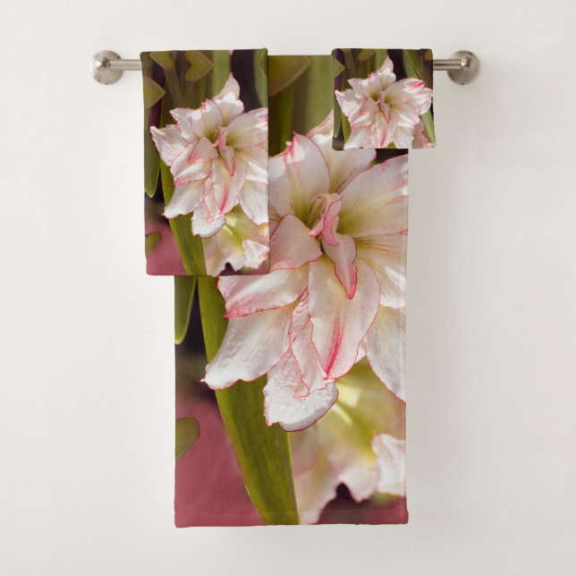 Amaryllis blanc ou Hippeastrum à double fleur (En situation)