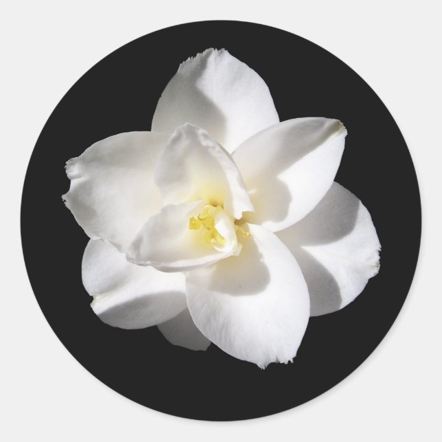 Amaryllis-Blume Runder Aufkleber (Vorderseite)