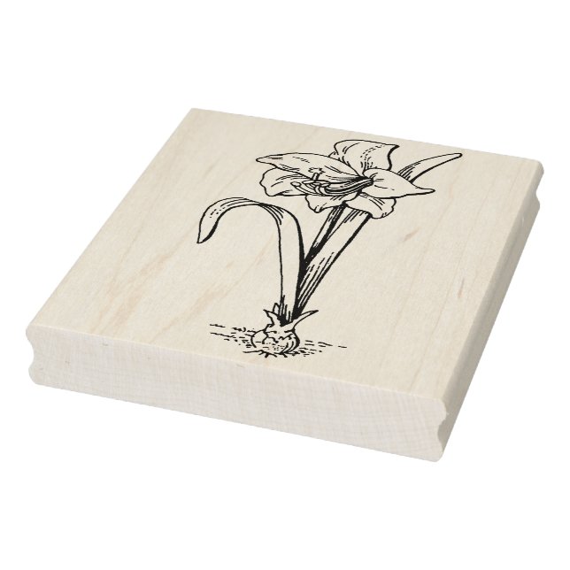 Amaryllis Blume zeichne Briefmarke Gummistempel (Stempel)
