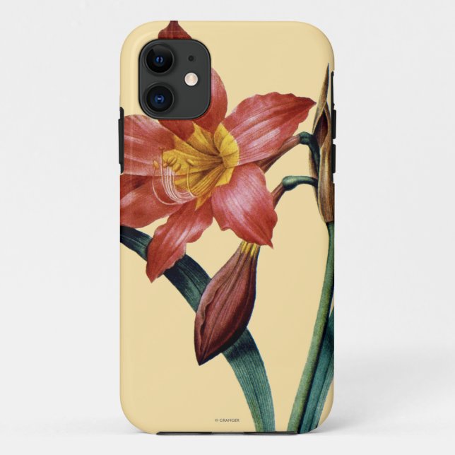 Amaryllis Case-Mate iPhone Hülle (Rückseite)