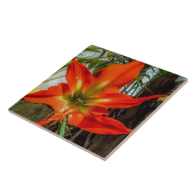 Amaryllis Closeup Ceramic Tile Fliese (Seite)