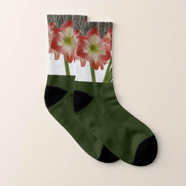 Amaryllis en Fête Rouge Neige Hiver Floral (Paire)