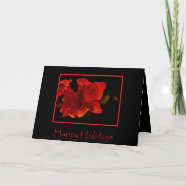 Amaryllis-Feiertags-Karte Feiertagskarte (Vorderseite)