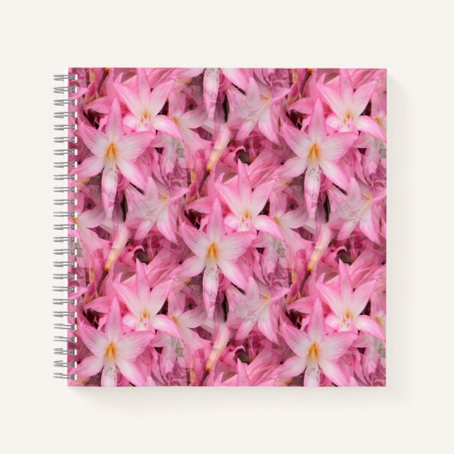Amaryllis Galore....... Notizbuch (Vorderseite)