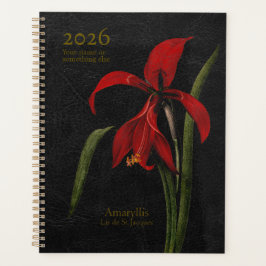 Amaryllis Grandiflora: Der Herold der Pracht Planer