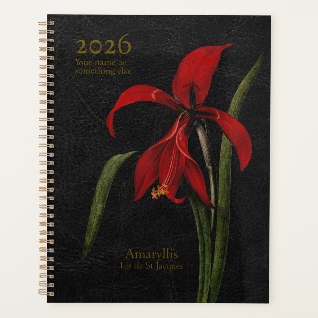 Amaryllis Grandiflora: The Herald of Splendour Planer (Vorderseite)