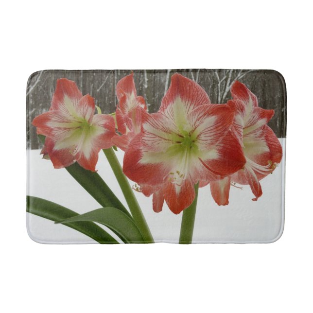 Amaryllis im schneeroten Urlaub Winterflora Badematte (Vorderseite)