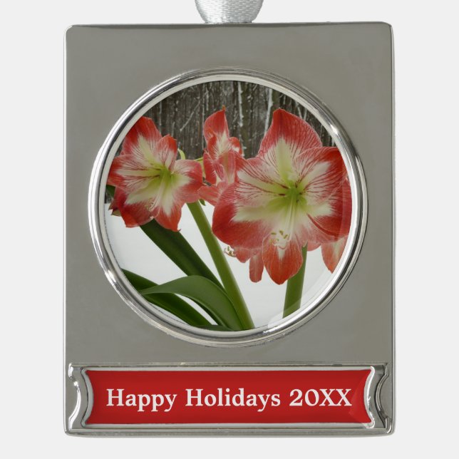 Amaryllis im schneeroten Urlaub Winterflora Banner-Ornament Silber (Vorderseite)