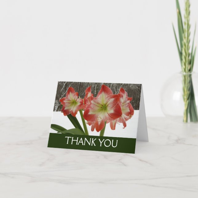 Amaryllis im schneeroten Urlaub Winterflora Dankeskarte (Vorderseite)