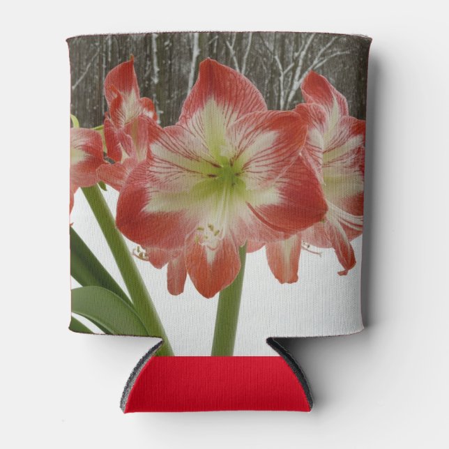 Amaryllis im schneeroten Urlaub Winterflora Dosenkühler (Vorderseite)