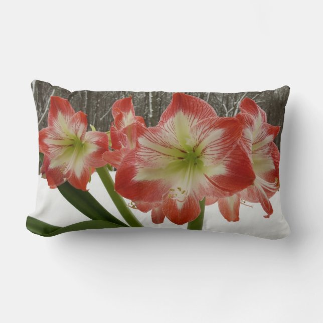 Amaryllis im schneeroten Urlaub Winterflora Lendenkissen (Vorderseite)