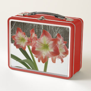 Amaryllis im schneeroten Urlaub Winterflora Metall Brotdose