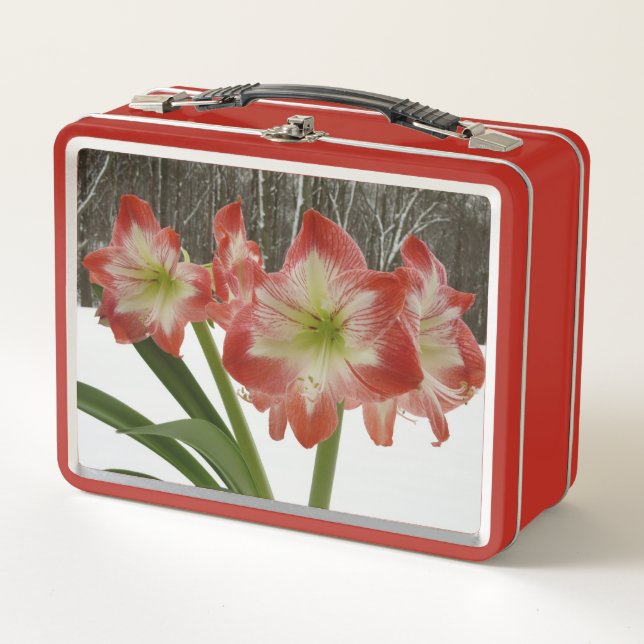 Amaryllis im schneeroten Urlaub Winterflora Metall Brotdose (Vorderseite)