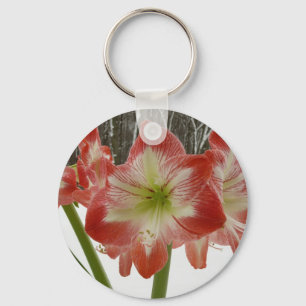 Amaryllis im schneeroten Urlaub Winterflora Schlüsselanhänger