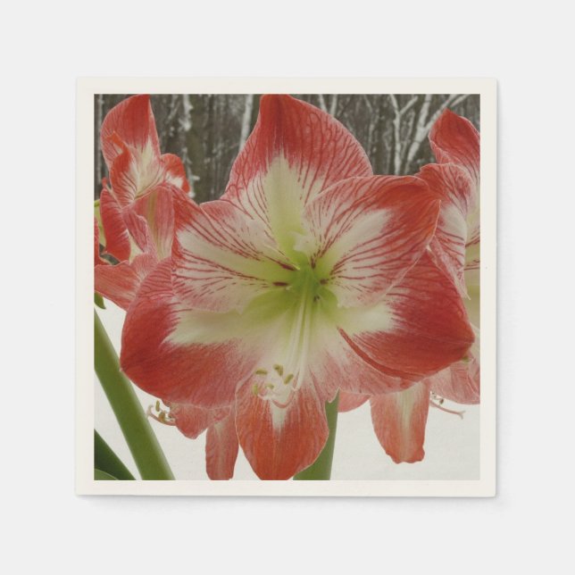 Amaryllis im schneeroten Urlaub Winterflora Serviette (Vorderseite)