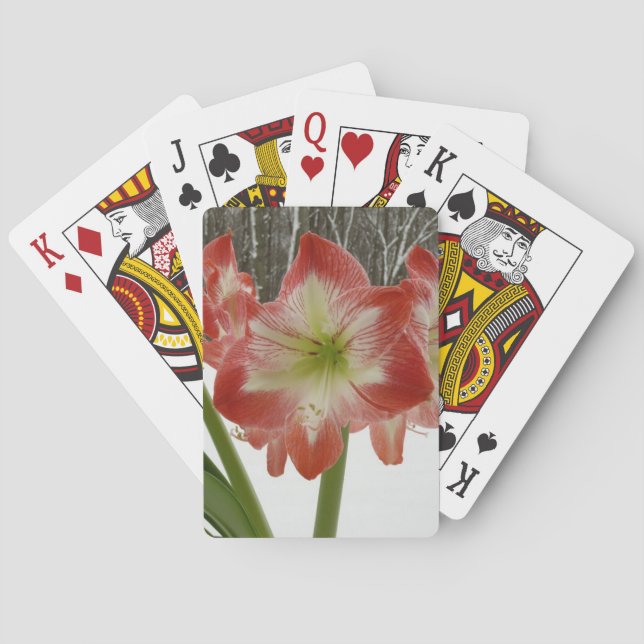 Amaryllis im schneeroten Urlaub Winterflora Spielkarten (Rückseite)