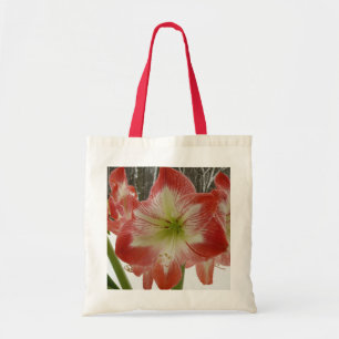 Amaryllis im schneeroten Urlaub Winterflora Tragetasche