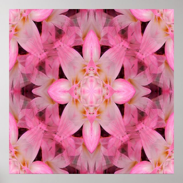 Amaryllis Liebe... Poster (Vorne)