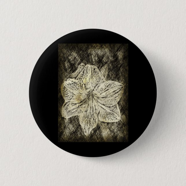 Amaryllis Old Time Sketch Button (Vorderseite)