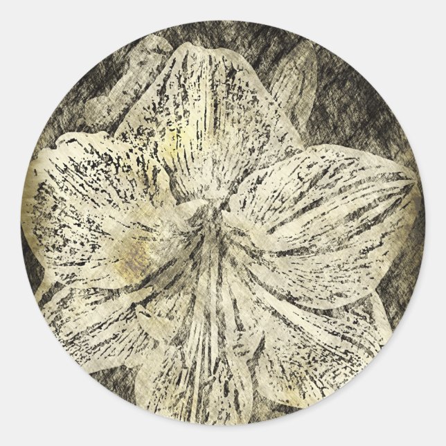 Amaryllis Old Time Sketch Runder Aufkleber (Vorderseite)