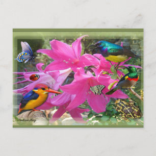 Amaryllis-Party Einladungspostkarte